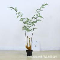 XU0612615